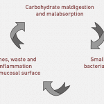 Digestive Health Institute - Norm Robillard, Ph.D. - SIBO article