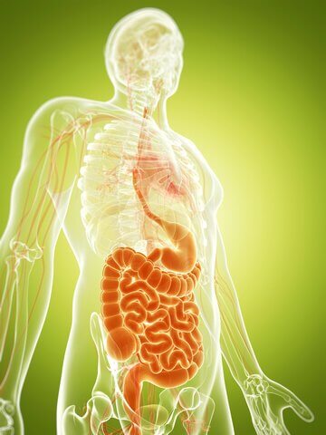 Crohn's Disease and Diet by Norm Robillard, Ph.D.