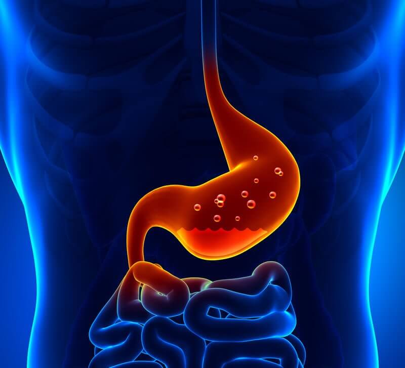 What does stomach acid do?