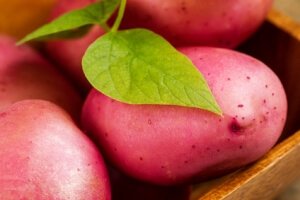 Fast Tract Diet Q&A about Red Potatoes and Symptom Potential
