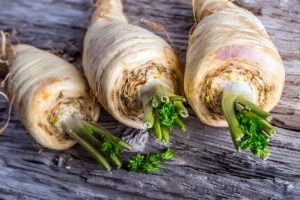 Fast Tract Diet Q&A for SIBO - FP for Parsnips