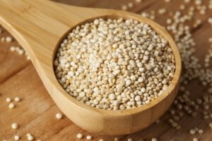 Fast Tract Diet Q&A about Quinoa and Fermentation Potential 