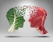 Diet over Drugs - 3 Step Plan for IBS, Diarrhea, Constipation by Norm Robillard, Ph.D.