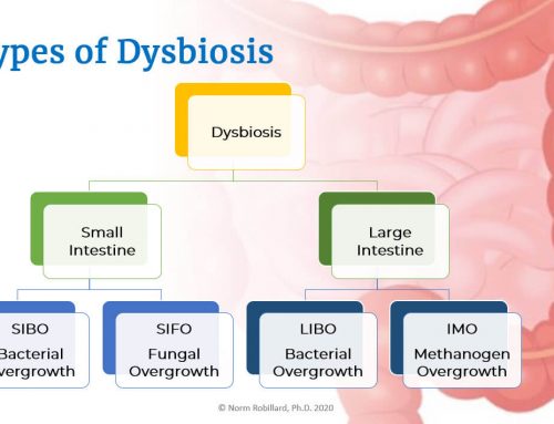 Gut Dysbiosis and Digestive Health (FREE Masterclass)