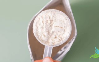 Comparison of elemental diets and the Fast Tract Diet for managing SIBO, IBS, and reflux symptoms